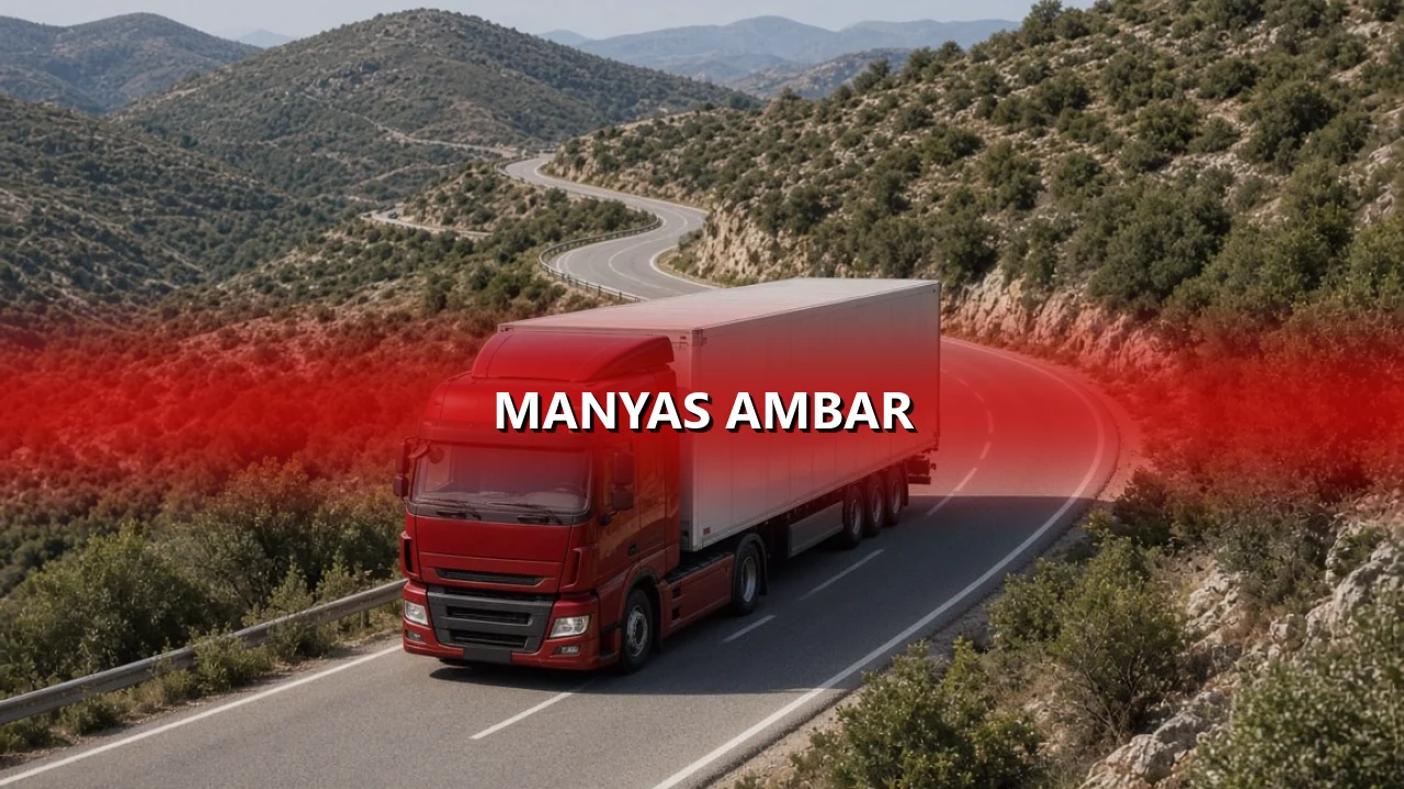Manyas Ambar