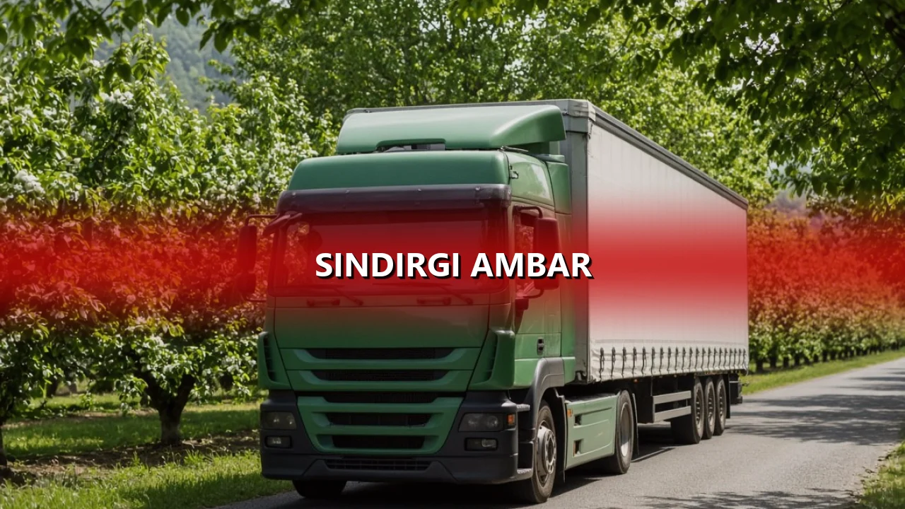 Sındırgı Ambar